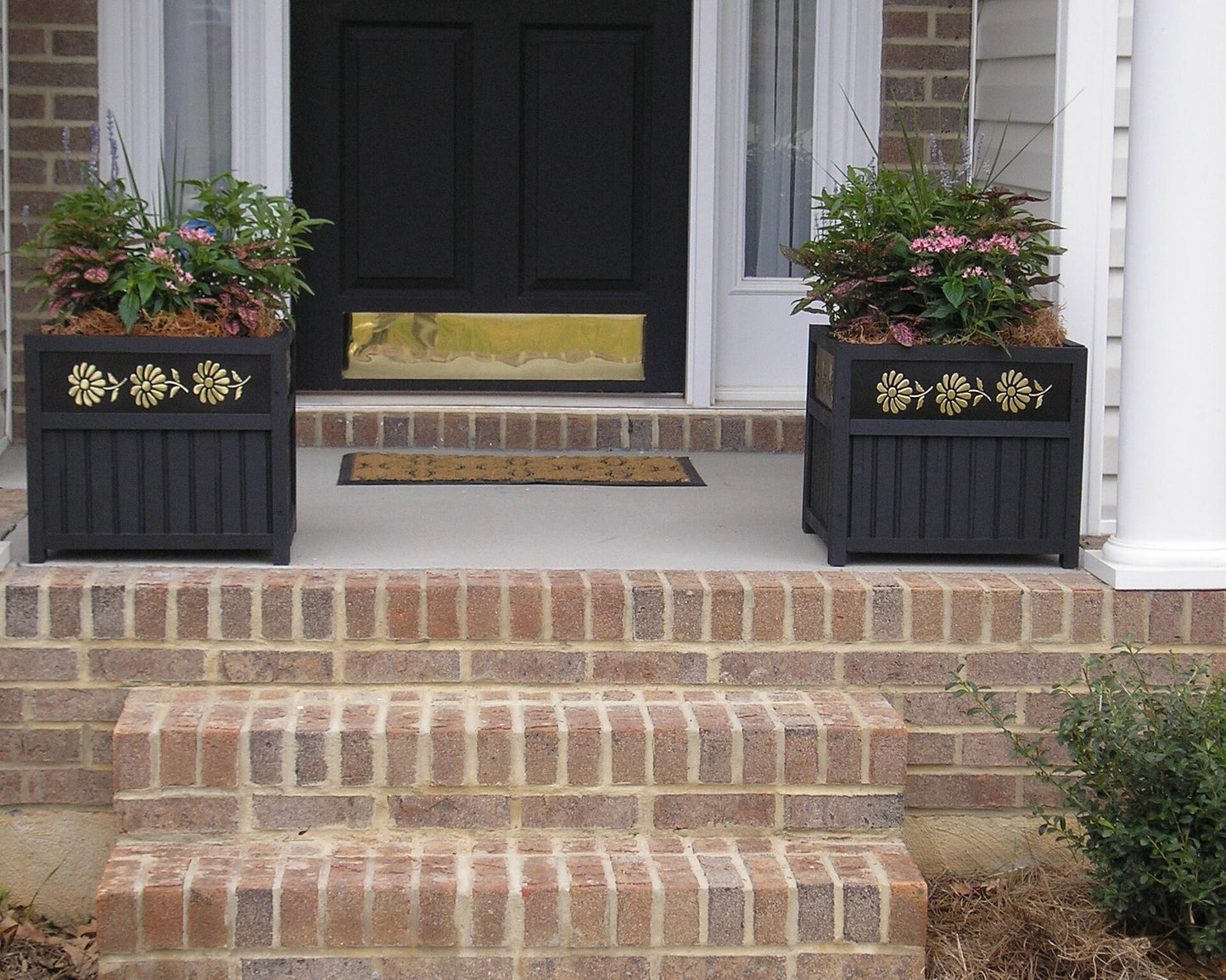 Planter 15"  Wainscot Daisy Planter