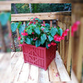 Planter 15" Quilt Pattern  Planter
