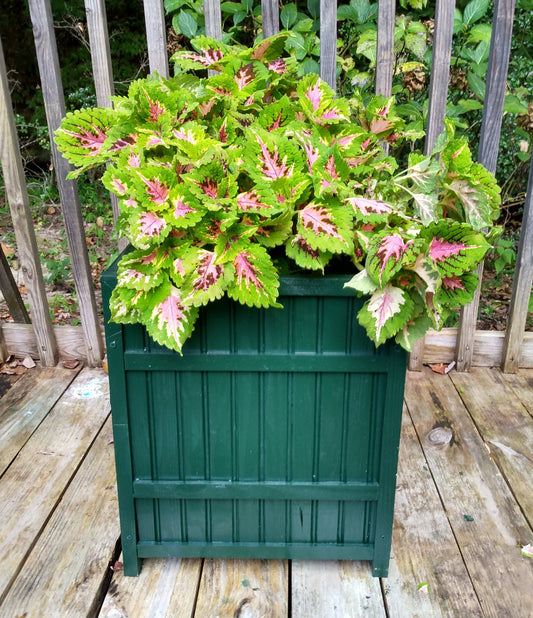 Wood Planter 2B 20" Wainscot