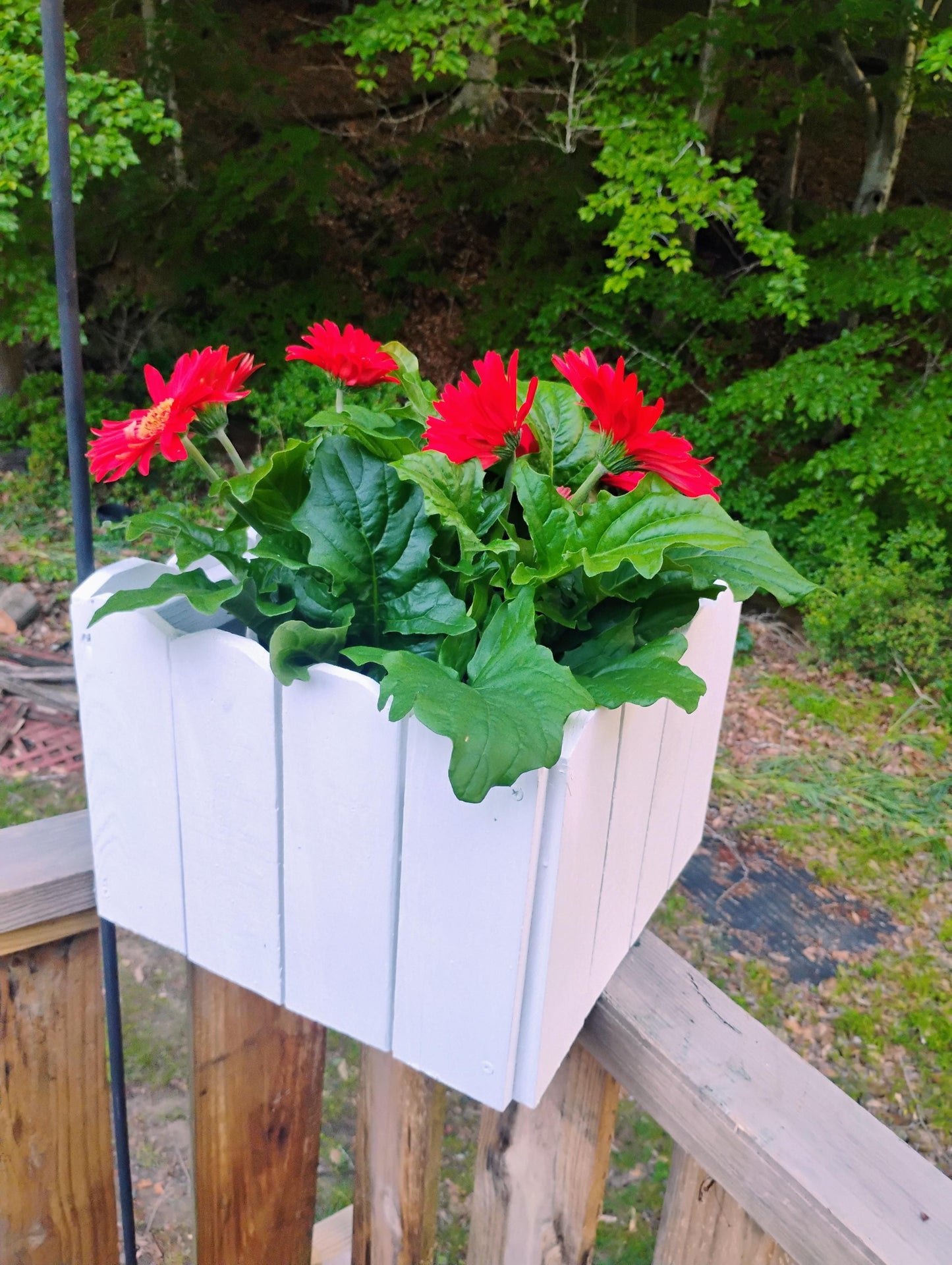 Planter wood 13" Dog Ear picket, tabletop or hang, recycled wood