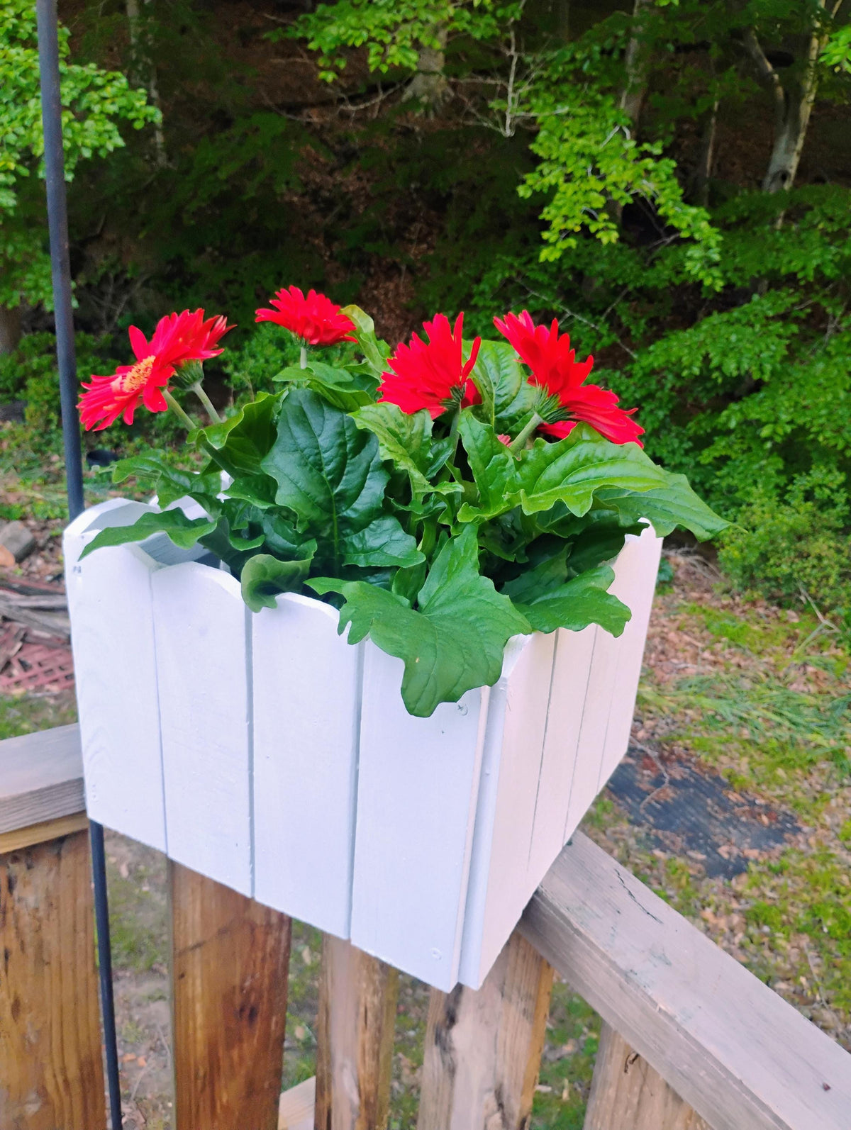 Planter wood 13" Dog Ear picket, tabletop or hang, recycled wood