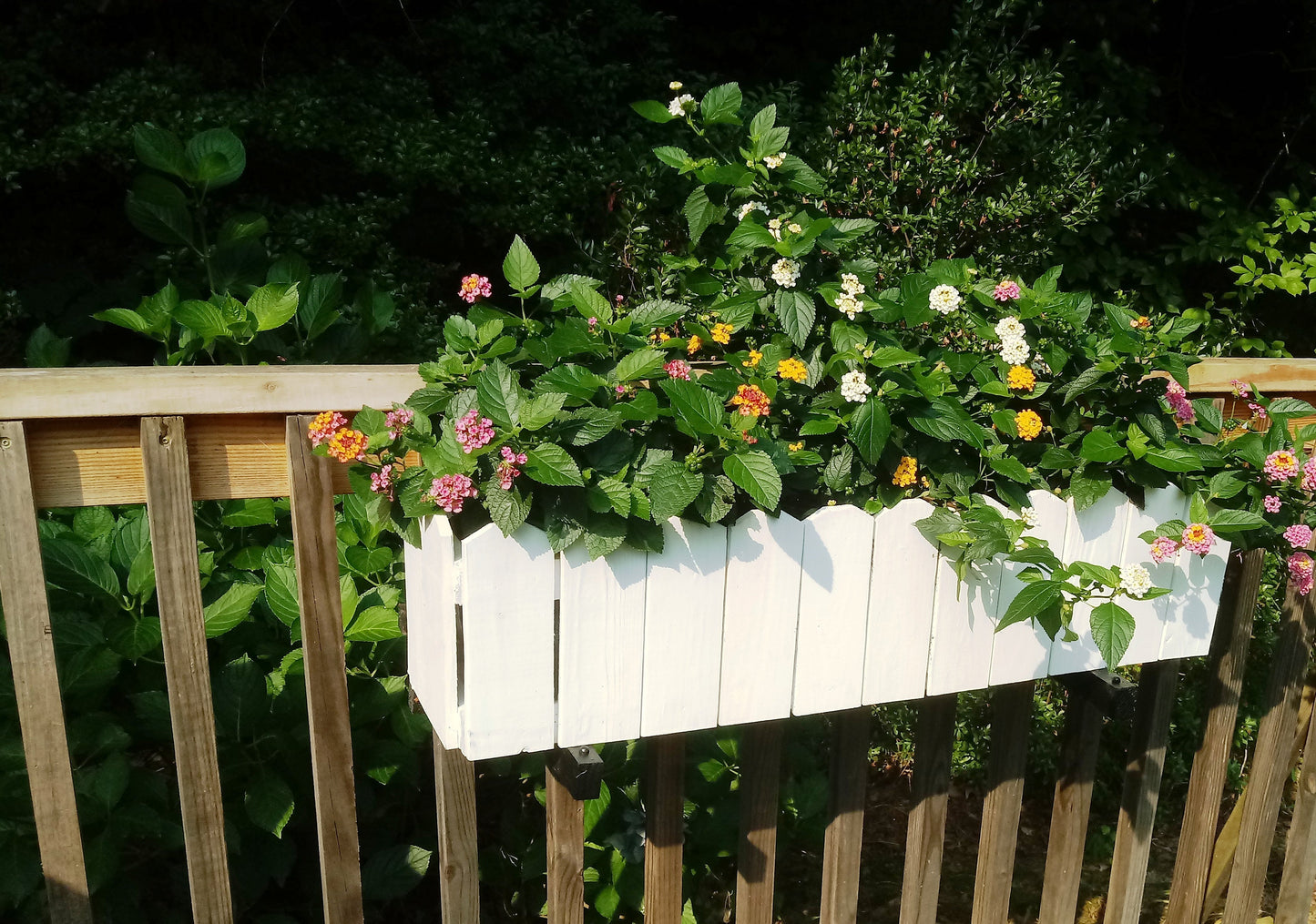 Window Box  Wood Planter Dog Ear