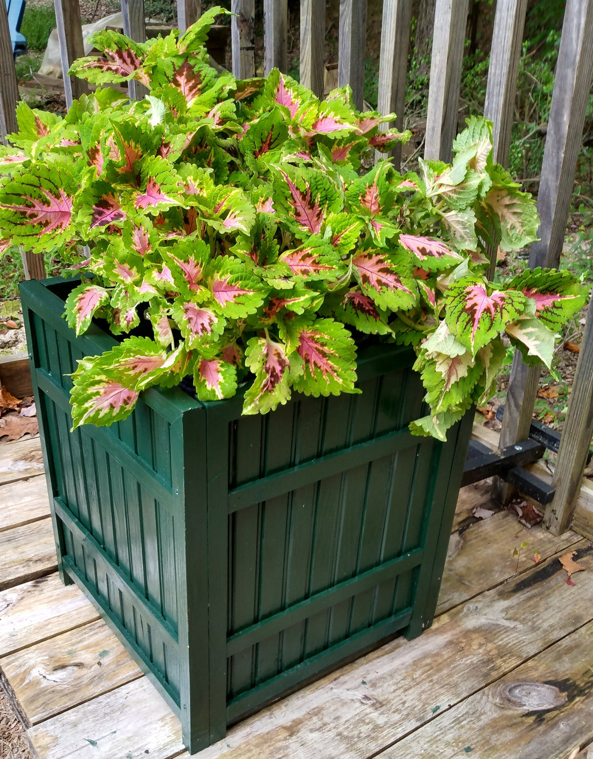 Wood Planter 2B 20" Wainscot