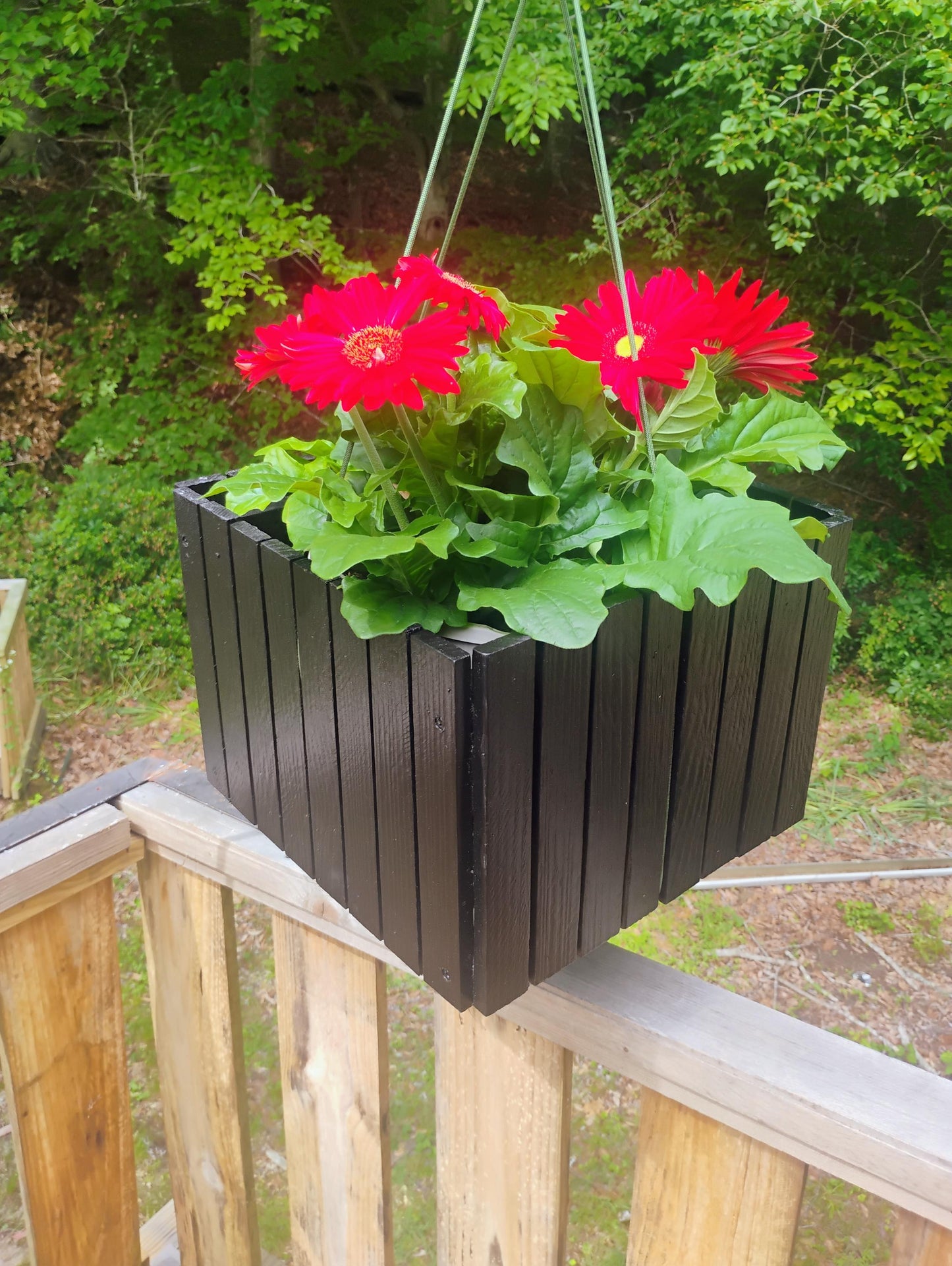 Planter wood 13" tabletop or hang, recycled wood