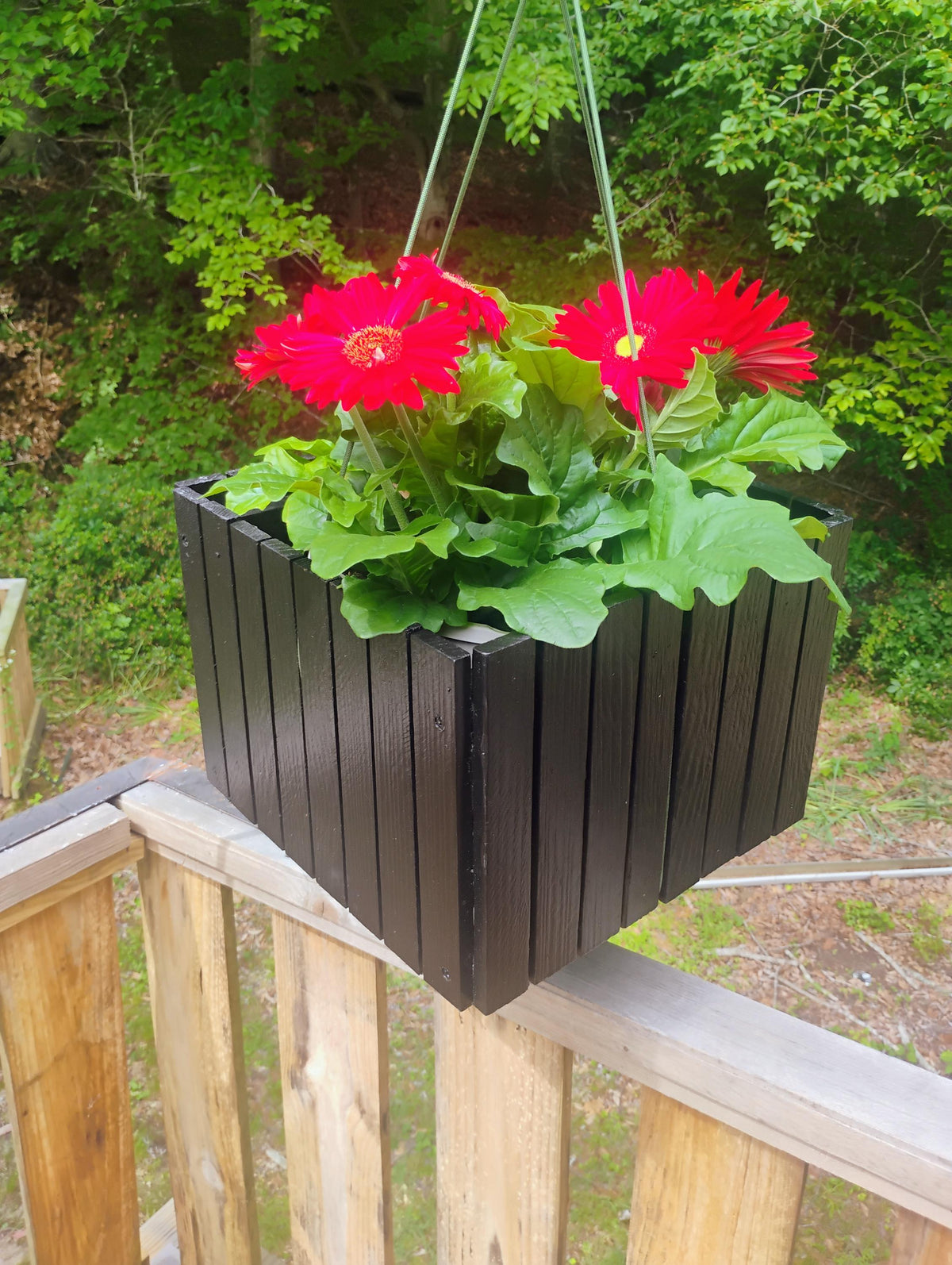 Planter wood 13" tabletop or hang, recycled wood